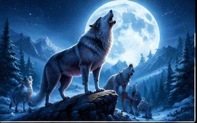 Moonlit Wolves — ilustrație de joc